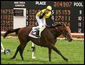 Silvano Arrives in Australia for Cox Plate Silvano Arrives in Australia for Cox Plate