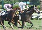 Jump Start, shown winning the Saratoga Special, will begin stud duty in 2003.