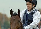 Arc Winner Hurricane Run Dead at Age 14 Arc Winner Hurricane Run Dead at Age 14