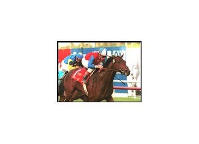 Denon's victory in the Hollywood Derby provided Bobby Frankel with his 16th grade I win of the year.