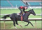 Roses in May, Dynever Turn in Final Works for Breeders' Cup Roses in May, Dynever Turn in Final Works for Breeders' Cup
