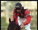 San Pasqual winner Wooden Phone.