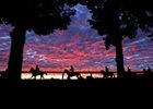 Saratoga enjoys record meet in '07.