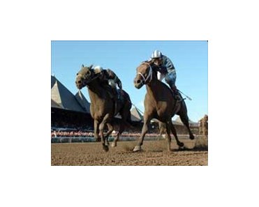 Invasor (right) rolls on with courageous Whitney win.<br><a target="blank" href="http://www.bloodhorse.com/horse-racing/photo-store?ref=http%3A%2F%2Fpictopia.com%2Fperl%2Fgal%3Fgallery_id%3D6823%26process%3Dgallery%26provider_id%3D368%26ptp_photo_id%3D473189%26sequencenum%3D%26page%3D">Order This Photo</a>