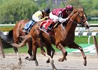 Flashing pulls away late in the Nassau County.<br><a target="blank" href="http://www.bloodhorse.com/horse-racing/photo-store?ref=http%3A%2F%2Fpictopia.com%2Fperl%2Fgal%3Fprovider_id%3D368%26ptp_photo_id%3D8063283%26ref%3Dstory">Order This Photo</a>