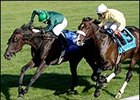 Transduction Gold Taking a Big Step Up in Breeders' Cup Turf Transduction Gold Taking a Big Step Up in Breeders' Cup Turf