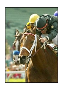 Buddy Gil, right, defeats Atswhatimtalknbout in the San Felipe.