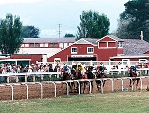 More at Stake for California Fair Season More at Stake for California Fair Season