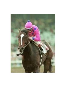 Tiznow won the San Fernando Stakes in his first start since taking the Breeders' Cup Classic.