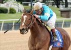 High Heels upset winner in Oaklawn's Fantasy.<br><a target="blank" href="http://www.bloodhorse.com/horse-racing/photo-store?ref=http%3A%2F%2Fpictopia.com%2Fperl%2Fgal%3Fprovider_id%3D368%26ptp_photo_id%3D977584%26ref%3Dstory">Order This Photo</a>
