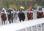 Warrior's Reward finished fifth in yesterday's Perryville Stakes at Keeneland.