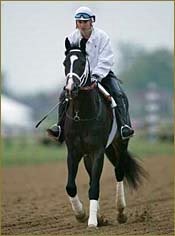Steve Haskin's Preakness Analysis: Looking for an Upsetter Steve Haskin's Preakness Analysis: Looking for an Upsetter