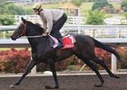 Eagle Mountain will run in the Cathay Pacific Hong Kong Cup (HK-I) on Dec. 14.