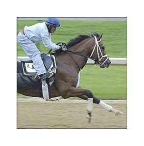 Keyed Entry among three Todd Pletcher prospects who turned in final works Saturday morning.