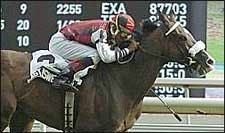 Last Answer Uses Theft Tactics in Nijinsky Stakes Last Answer Uses Theft Tactics in Nijinsky Stakes