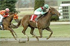 In a Dilemma Over Saturday's Derby Preps? Might As Well Swing For the Fences In a Dilemma Over Saturday's Derby Preps? Might As Well Swing For the Fences