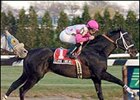 Classic Endeavor captures the Queens County at Aqueduct.