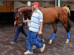 'Lucky Gallops, Preakness Status Upgraded 'Lucky Gallops, Preakness Status Upgraded