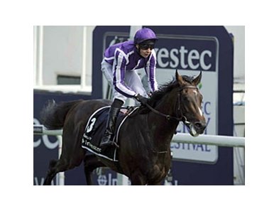 Camelot and Joseph O'Brien.