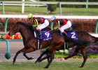 Dream Journey defeated favored Buena Vista to become the 54th champion of the season-ending grade I Arima Kinen at Nakayama Racecourse.
