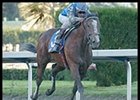 Florida Derby Report: Work Takes a Holiday Florida Derby Report: Work Takes a Holiday