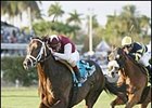 Millennium Dragon leads the field to the wire in the Appleton Handicap.