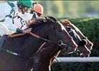 Sweet Talker (8), noses out Karen's Caper (4) and Gorella in the Queen Elizabeth II Challenge Cup at Keeneland.