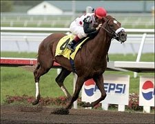 High Fly Suffers Condylar Fracture; Out of Breeders' Cup High Fly Suffers Condylar Fracture; Out of Breeders' Cup
