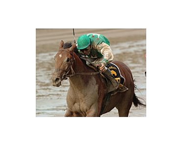 Afleet Alex