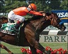 Roman Ruler Tops Stallion List by Number of Mares Bred Roman Ruler Tops Stallion List by Number of Mares Bred