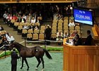 Hip 56, Superfection, sold for $1.2 million