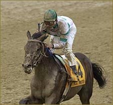 Best Minister Withdrawn from Belmont Stakes Best Minister Withdrawn from Belmont Stakes