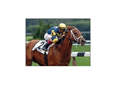 Pool Land wins Ruffian.<br><a target="blank" href="http://www.bloodhorse.com/horse-racing/photo-store?ref=http%3A%2F%2Fpictopia.com%2Fperl%2Fgal%3Fgallery_id%3D6823%26process%3Dgallery%26provider_id%3D368%26ptp_photo_id%3D547492%26sequencenum%3D%26page%3D">Order This Photo</a>