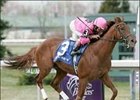 Dominican wins the Rushaway Stakes by five lengths Saturday at Turway Park.