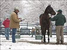 Indy Charmer Leads Opening Session of Fasig-Tipton Winter Mixed Sale Indy Charmer Leads Opening Session of Fasig-Tipton Winter Mixed Sale