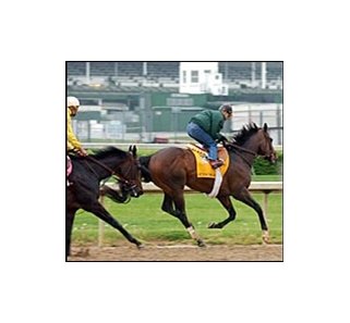 Action This Day, finishing workout in front of Halfbridled.