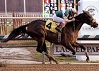 Silmaril ends her racing career in style by winning the What A Summer Stakes to push her lifetime earnings over the $1-million mark.