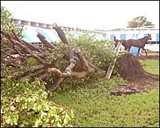 Katrina's Damage Minor at Florida Tracks; Both Serve as 'Staging Areas' Katrina's Damage Minor at Florida Tracks; Both Serve as 'Staging Areas'