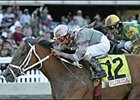 Secret Request (12) races to victory in the Sunshine Millions Ocala Breeders' Sales Distaff ahead of Smoke'n Frolic, Saturday at Gulfstream Park.