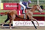 Favored Lion Tamer Draws Outside in Lane's End Favored Lion Tamer Draws Outside in Lane's End
