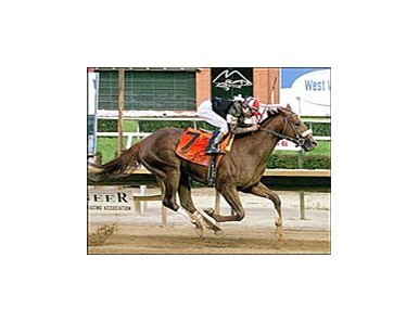 Sir Shackleton wins the West Virginia Derby, Saturday at Mountaineer Race Track.