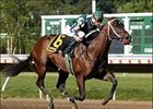Lantana Mob Class of Favorite Trick Field Lantana Mob Class of Favorite Trick Field