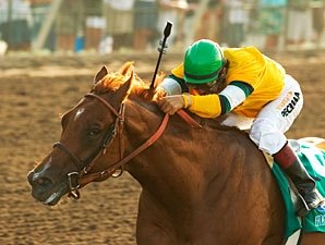 Malibu Possible for Horse Greeley Malibu Possible for Horse Greeley