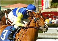 Megahertz Kicks in to Win San Gorgonio Megahertz Kicks in to Win San Gorgonio