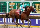 Coco Belle Notches First Stakes Score in Miss Woodford Coco Belle Notches First Stakes Score in Miss Woodford