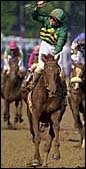 Cancelled Stakes Won't Be Rescheduled Cancelled Stakes Won't Be Rescheduled