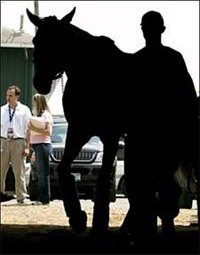 Derby Winner Arrives at Pimlico Derby Winner Arrives at Pimlico