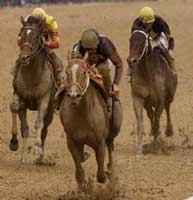 Preakness Winner Red Bullet on Comeback Trail Preakness Winner Red Bullet on Comeback Trail
