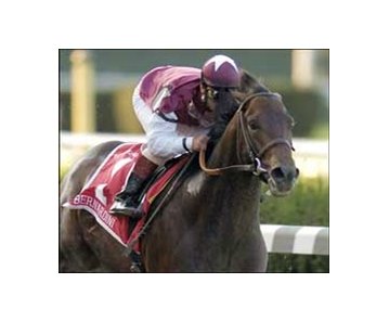 Bernardini, likely Classic favorite, was easy winner of the Jockey Club Gold Cup.<br><a target="blank" href="http://www.bloodhorse.com/horse-racing/photo-store?ref=http%3A%2F%2Fpictopia.com%2Fperl%2Fgal%3Fgallery_id%3D6823%26process%3Dgallery%26provider_id%3D368%26ptp_photo_id%3D588534%26sequencenum%3D%26page%3D">Order This Photo</a>
