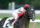 Roses in May seeks his own perfection in this year's Dodge Classic.